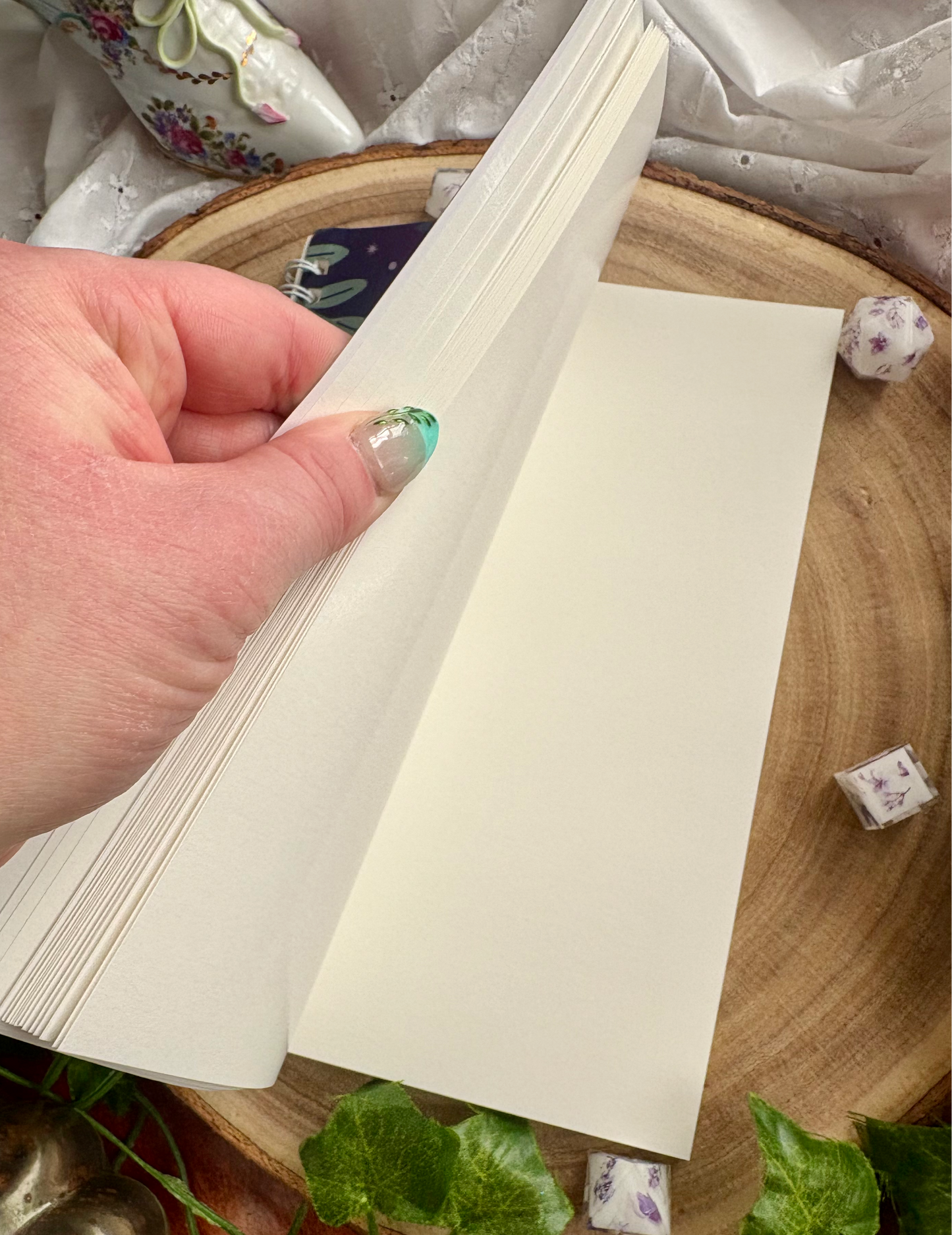 Wings of Midnight Reusable Sticker Collecting Book