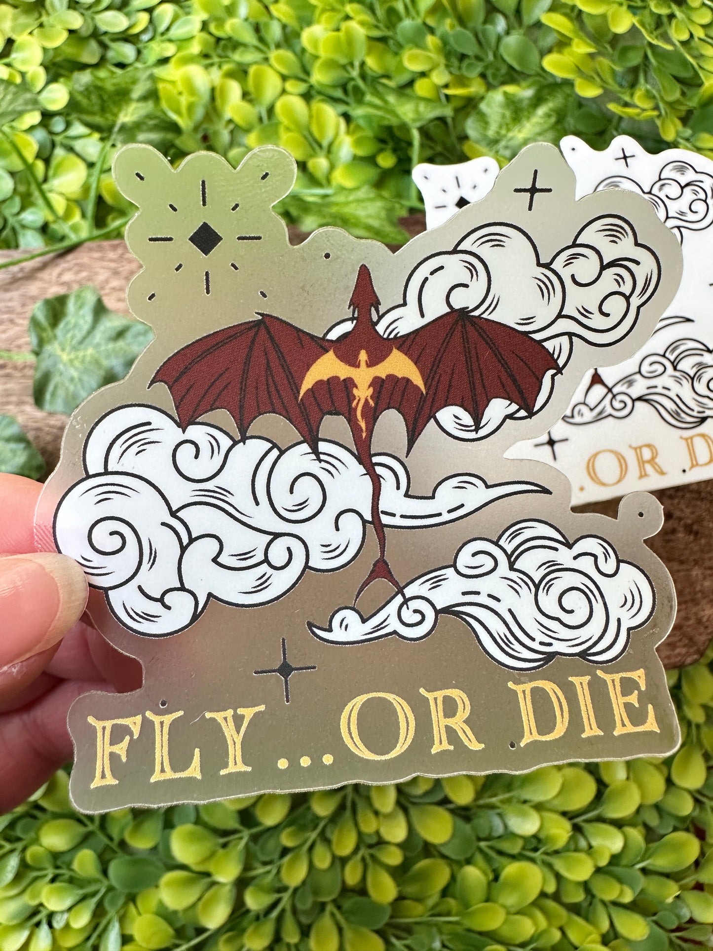 Fly or Die Sticker (Fourth Wing)