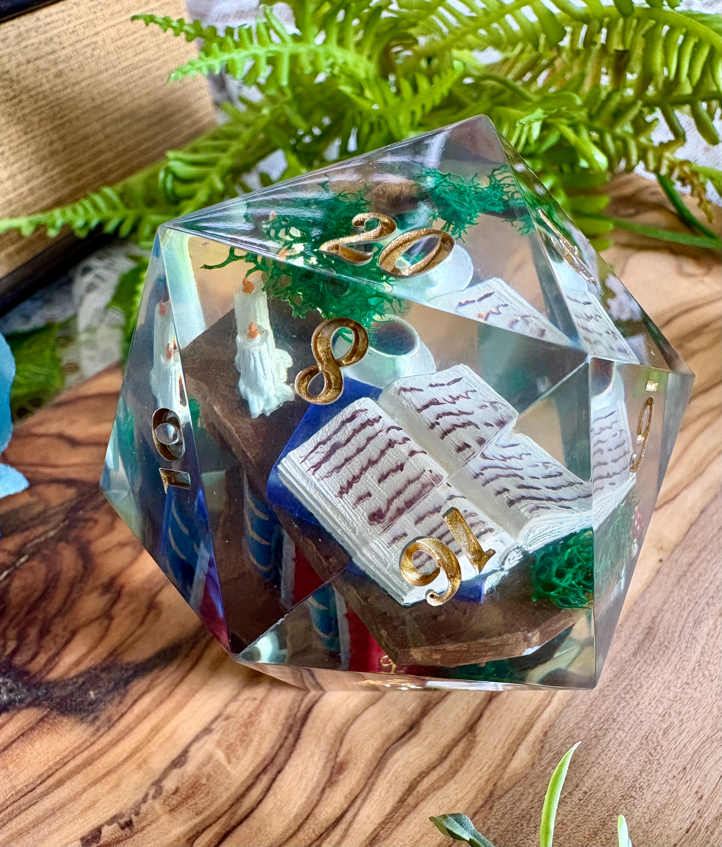 Druid's Bookshelf Diorama D20